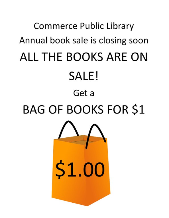 Book sale bag for a dollar.jpg