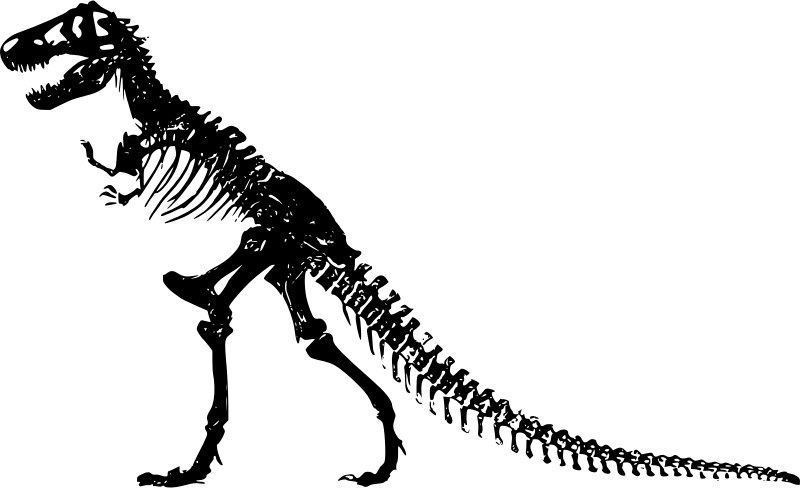 trex-skeleton-800px.jpg