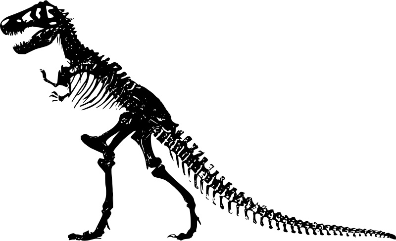 trex-skeleton-800px.jpg